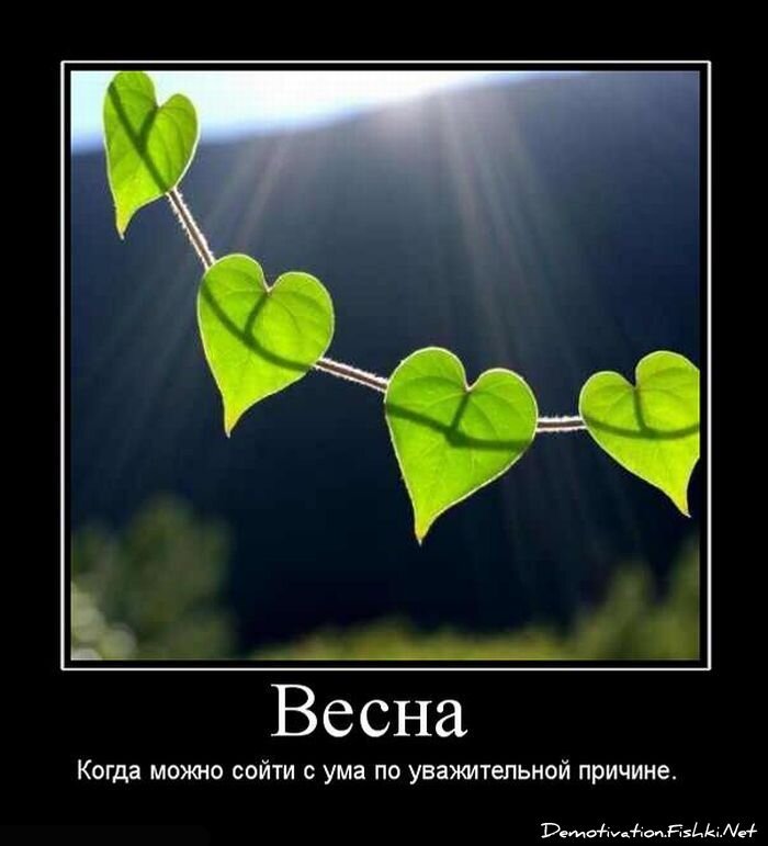 Смешной демотиватор от zubrilov за 15.06.2010 №55604