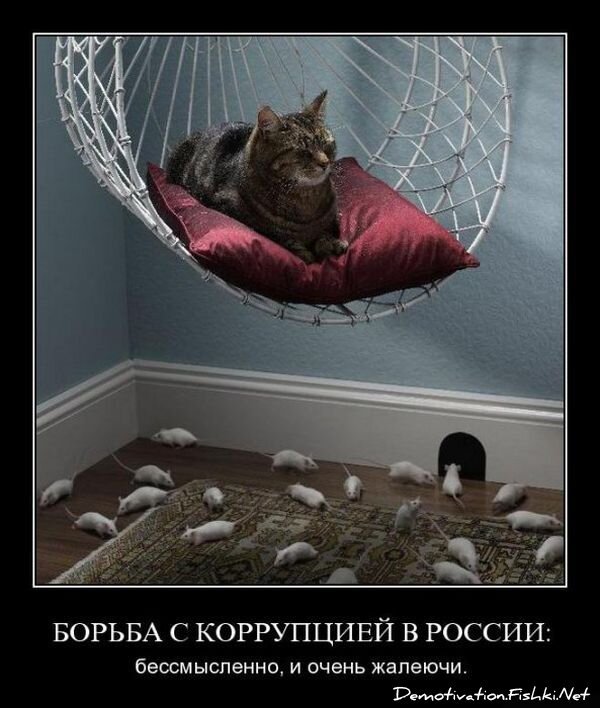 Демотиватор