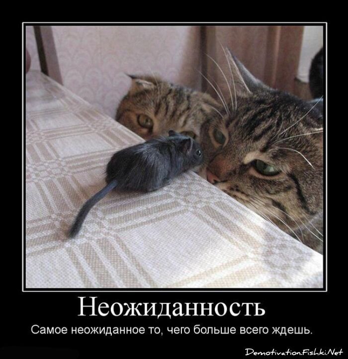 Смешной демотиватор от zubrilov за 15.06.2010 №55612