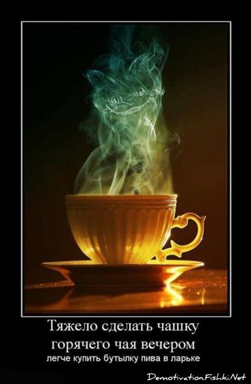 Смешной демотиватор от zubrilov за 15.06.2010 №55618