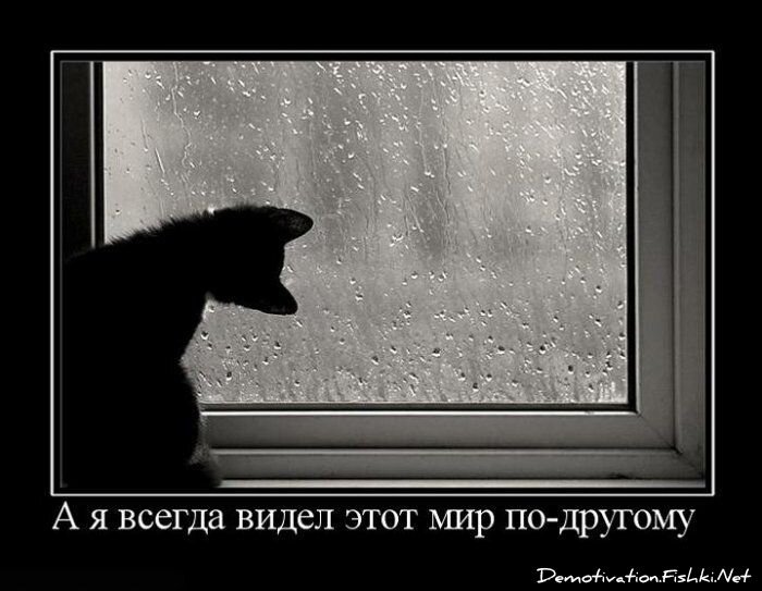 Смешной демотиватор от zubrilov за 15.06.2010 №55624