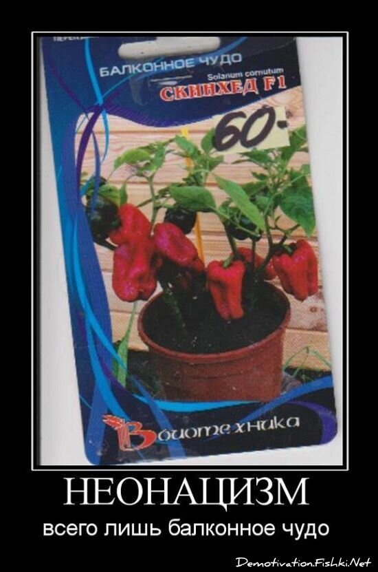 Демотиватор