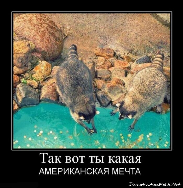 Смешной демотиватор от zubrilov за 15.06.2010 №55636