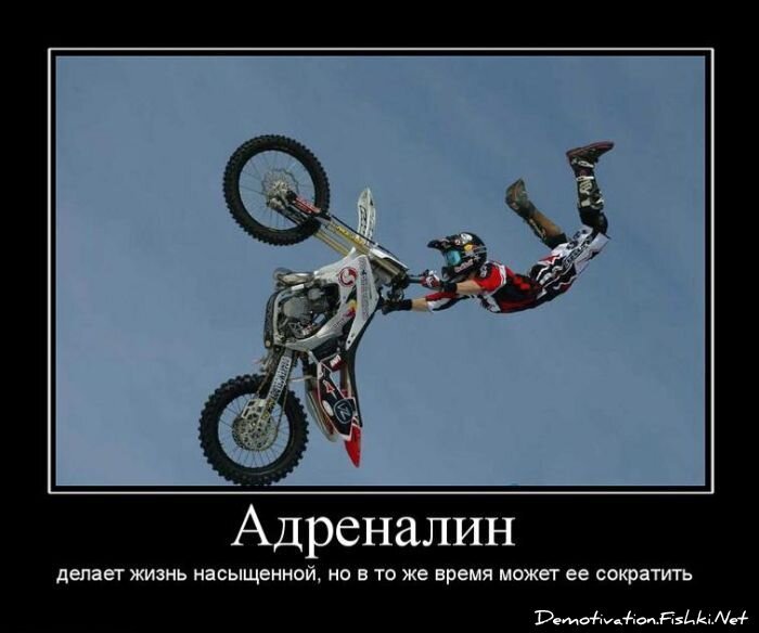 Смешной демотиватор от zubrilov за 15.06.2010 №55650