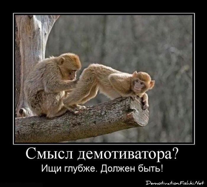 Смешной демотиватор от zubrilov за 15.06.2010 №55656