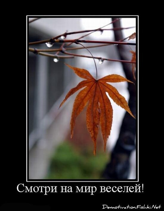 Демотиватор