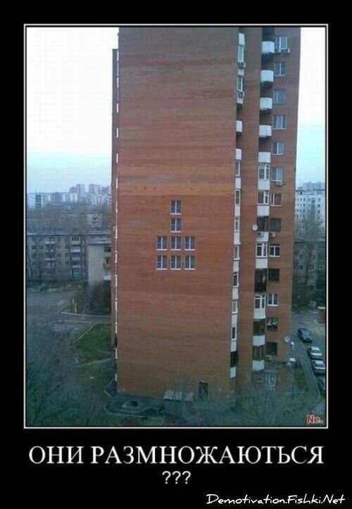 Демотиватор