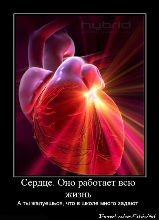 Демотиватор