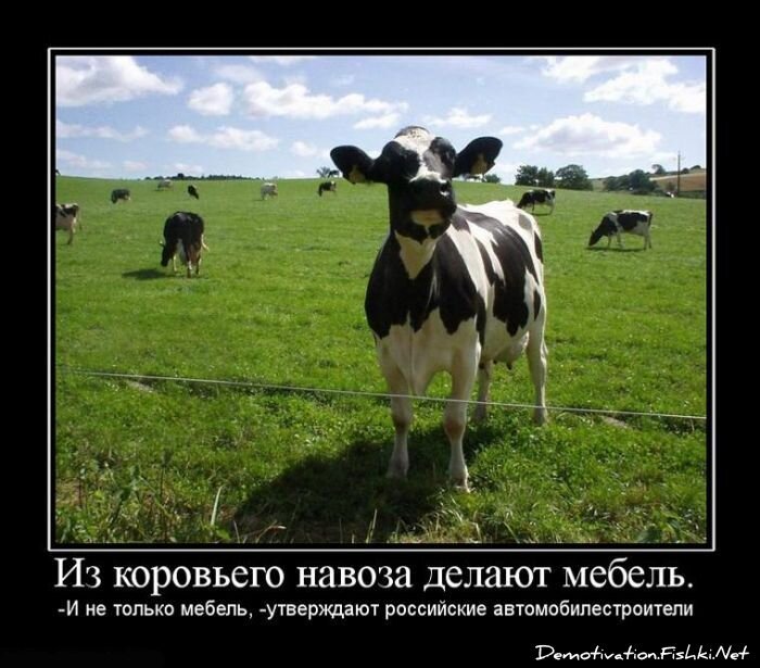 Смешной демотиватор от zubrilov за 15.06.2010 №55686