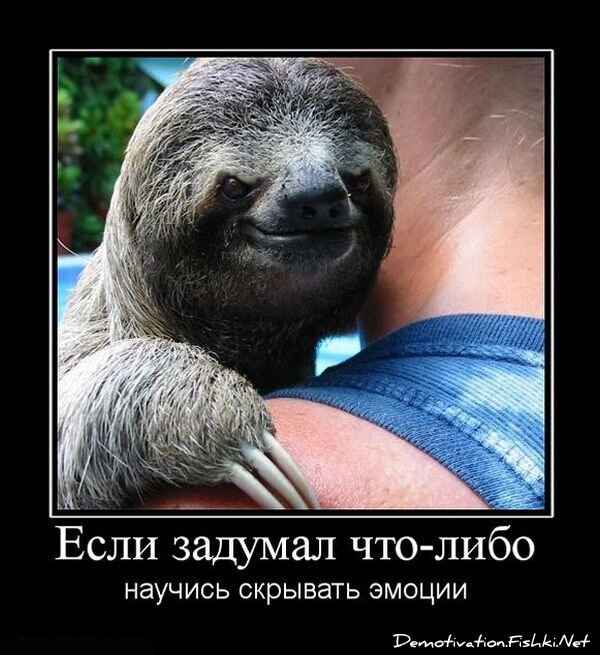 Смешной демотиватор от zubrilov за 15.06.2010 №55689