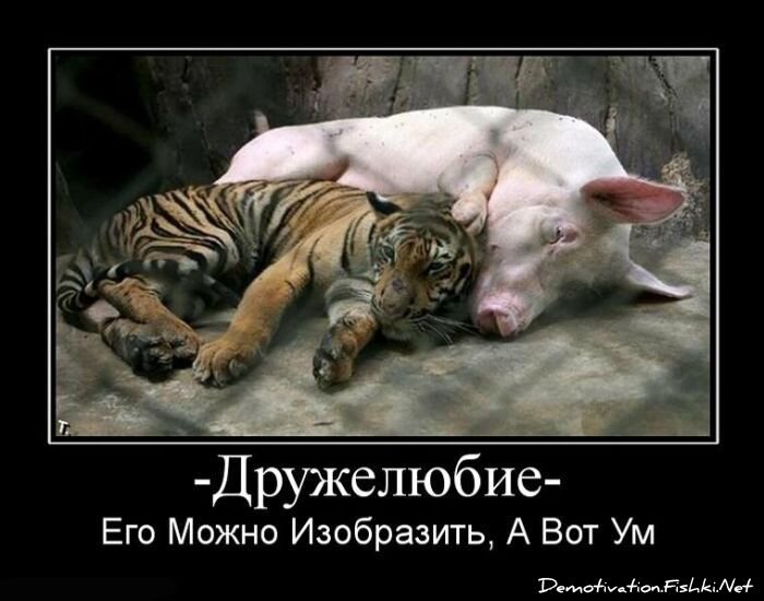 Демотиватор