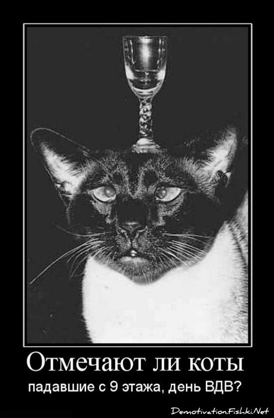 Смешной демотиватор от zubrilov за 15.06.2010 №55707