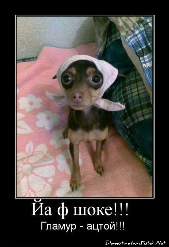 Смешной демотиватор от zubrilov за 15.06.2010 №55713