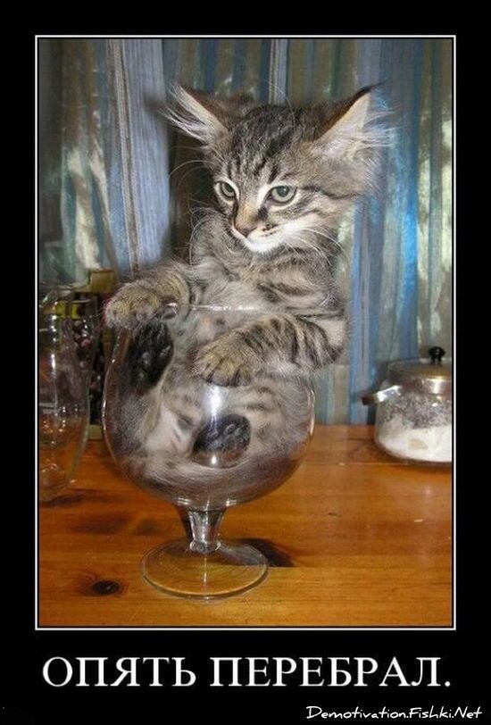Смешной демотиватор от zubrilov за 15.06.2010 №55714