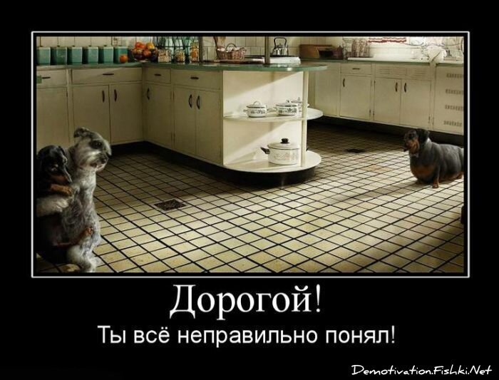 Смешной демотиватор от zubrilov за 15.06.2010 №55723