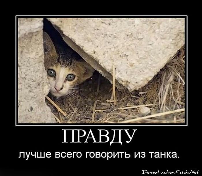 Демотиватор