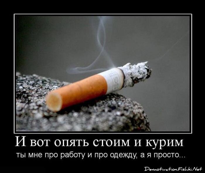 Смешной демотиватор от zubrilov за 15.06.2010 №55754