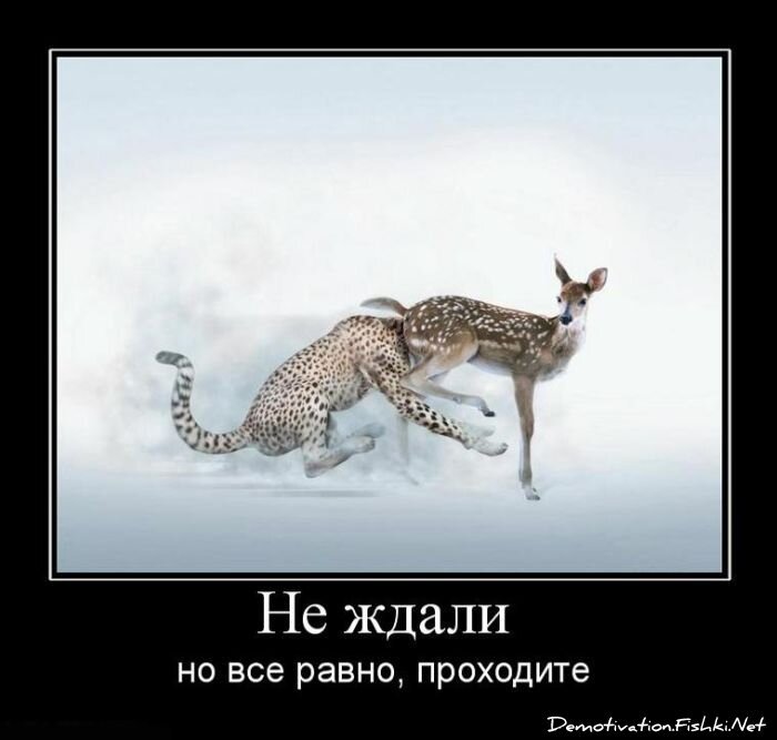 Демотиватор