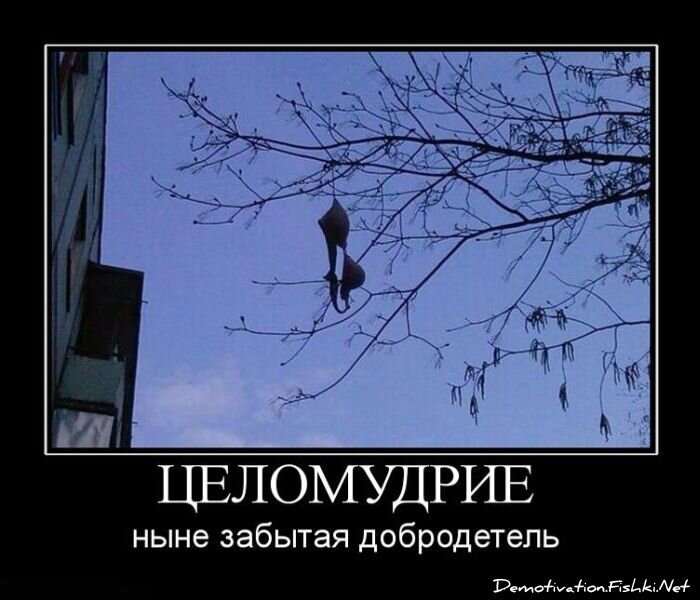 Смешной демотиватор от zubrilov за 15.06.2010 №55767