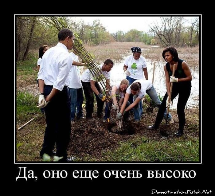 Демотиватор