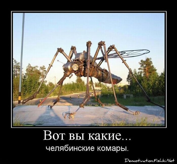 Смешной демотиватор от zubrilov за 15.06.2010 №55806