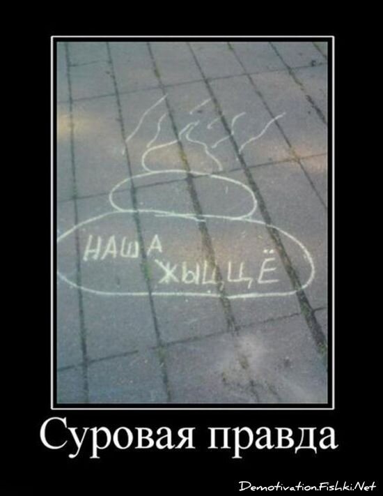 Демотиватор