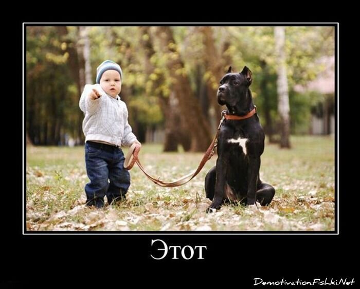 Демотиватор