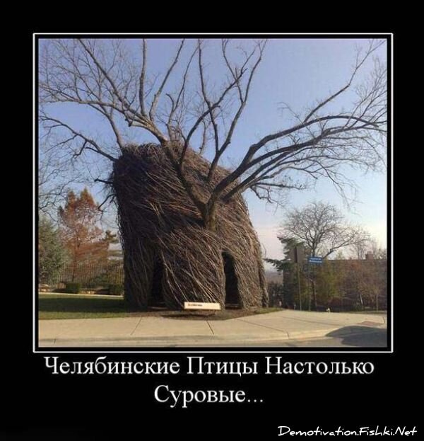 Смешной демотиватор от zubrilov за 15.06.2010 №55818