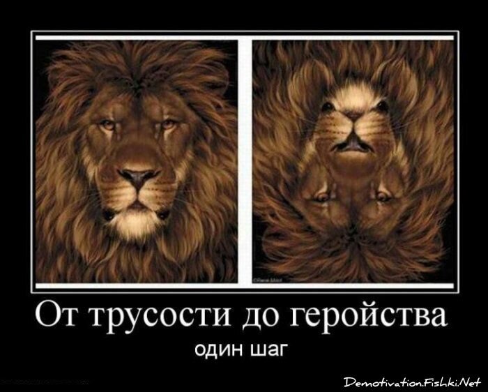 Демотиватор