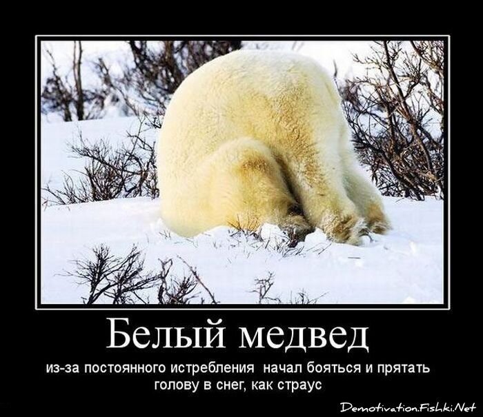 Смешной демотиватор от zubrilov за 15.06.2010 №55828