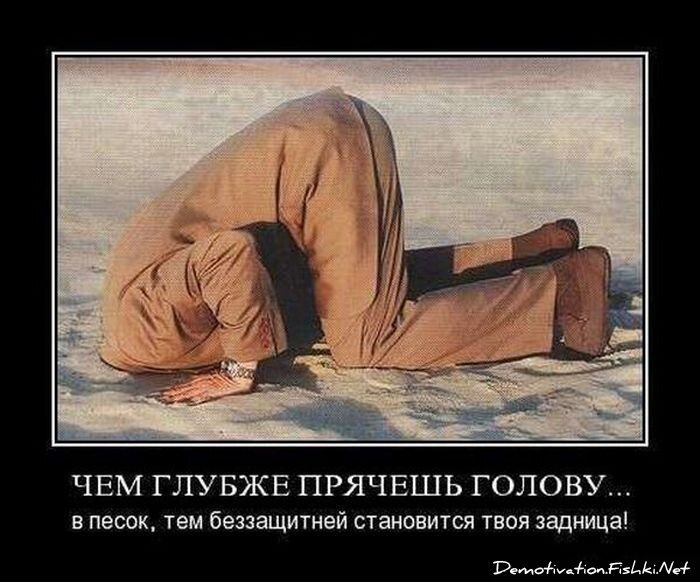 Демотиватор