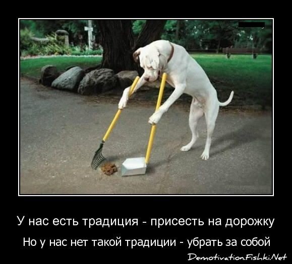 Демотиватор