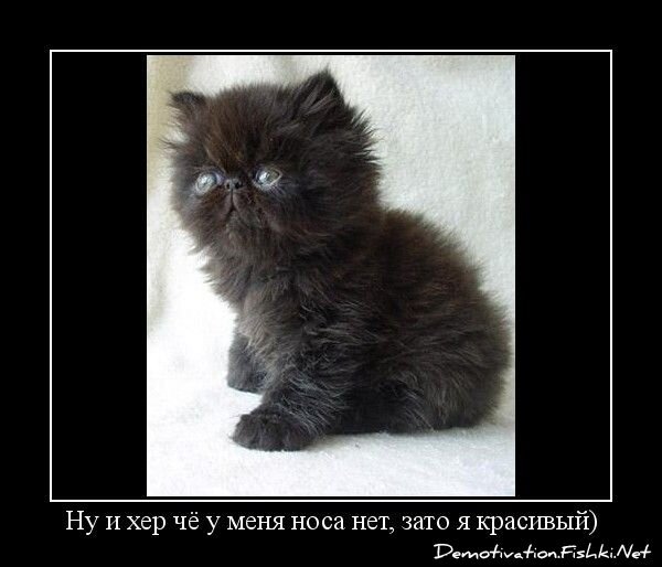 Смешной демотиватор от zubrilov за 15.06.2010 №55854