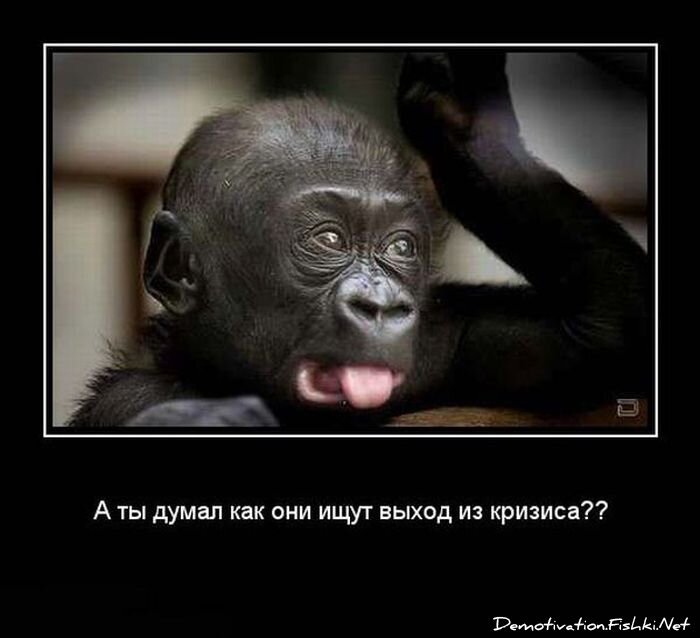 Демотиватор