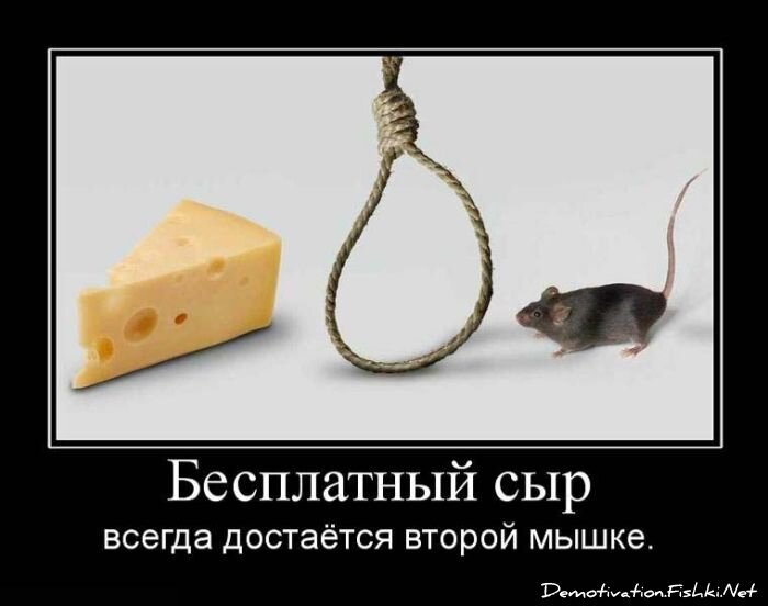 Смешной демотиватор от zubrilov за 15.06.2010 №55889