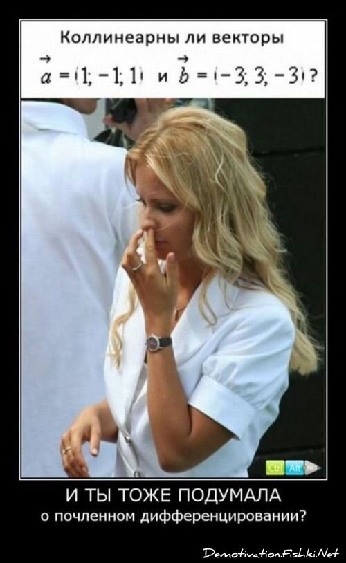 Смешной демотиватор от zubrilov за 15.06.2010 №55891