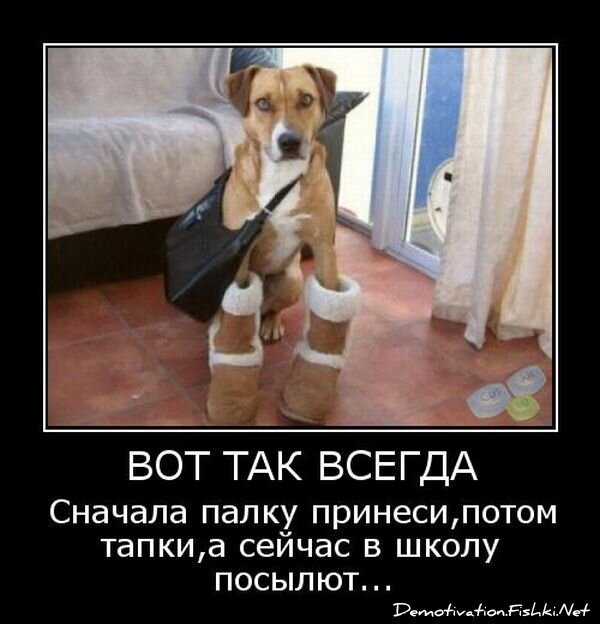 Смешной демотиватор от zubrilov за 15.06.2010 №55904