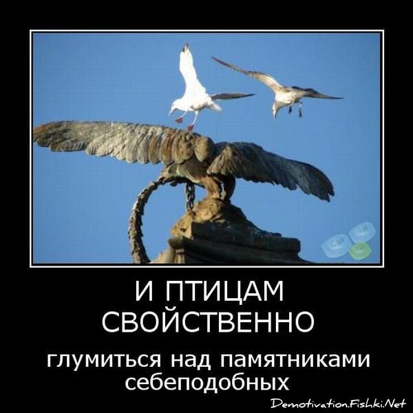 Смешной демотиватор от zubrilov за 15.06.2010 №55909