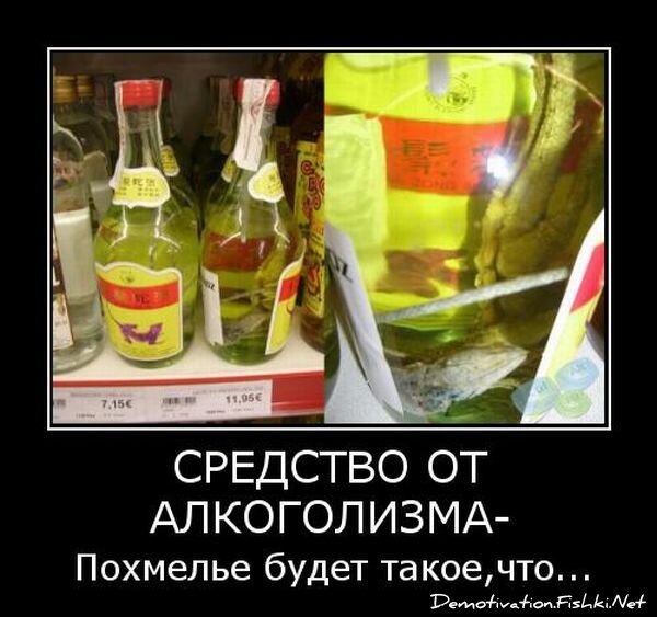 Демотиватор