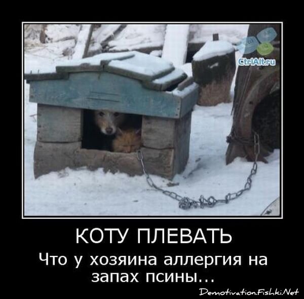 Смешной демотиватор от zubrilov за 15.06.2010 №55918