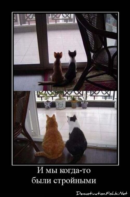 Демотиватор