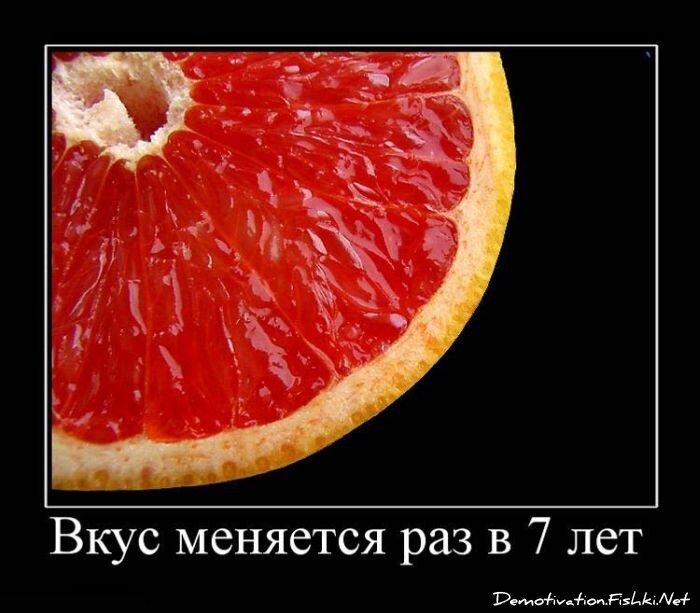 Смешной демотиватор от zubrilov за 15.06.2010 №55931