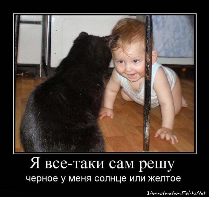 Смешной демотиватор от zubrilov за 15.06.2010 №55940