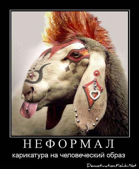 Смешной демотиватор от zubrilov за 15.06.2010 №55942