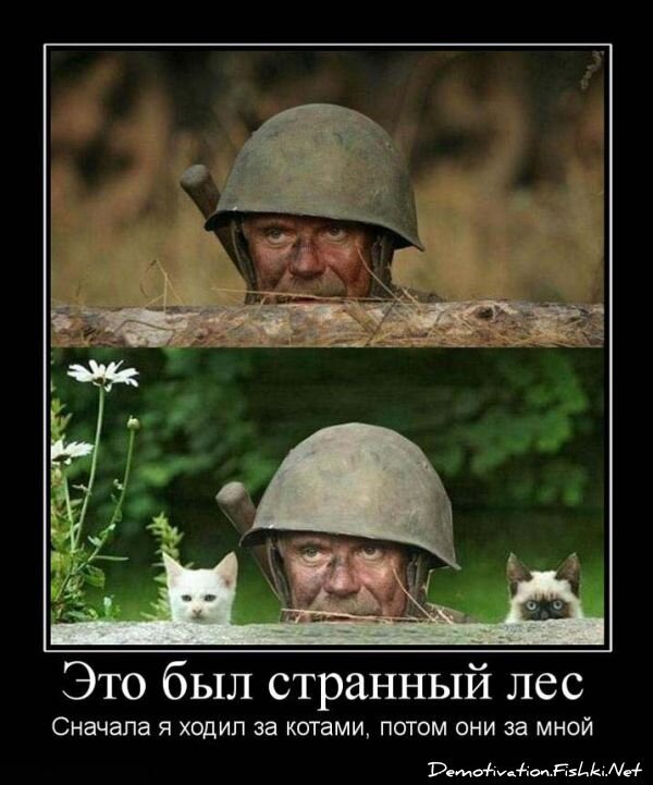 Смешной демотиватор от zubrilov за 15.06.2010 №55947