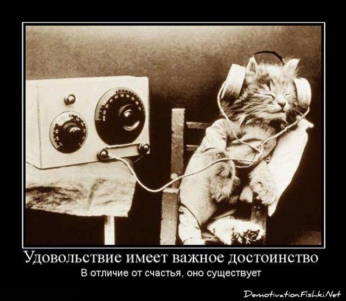 Демотиватор