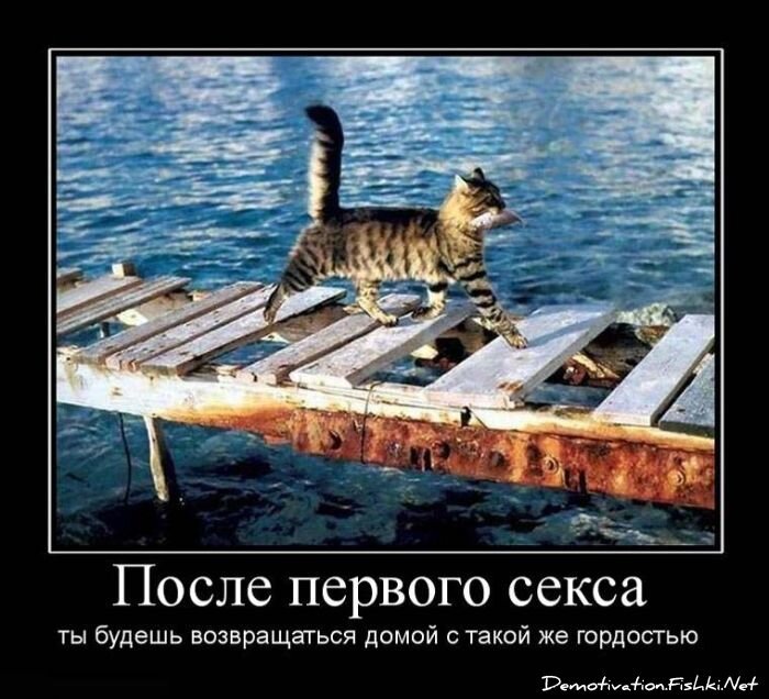 Смешной демотиватор от zubrilov за 15.06.2010 №55954