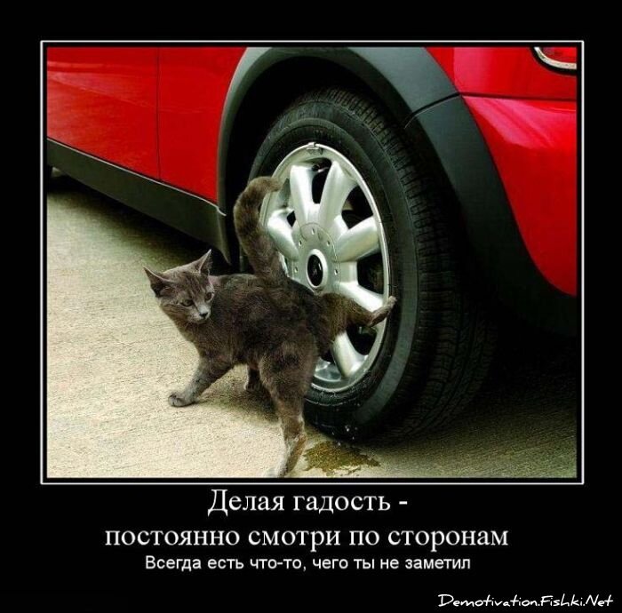 Смешной демотиватор от zubrilov за 15.06.2010 №55967