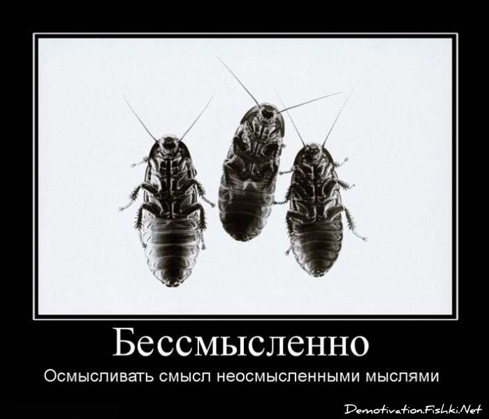 Смешной демотиватор от zubrilov за 15.06.2010 №55975