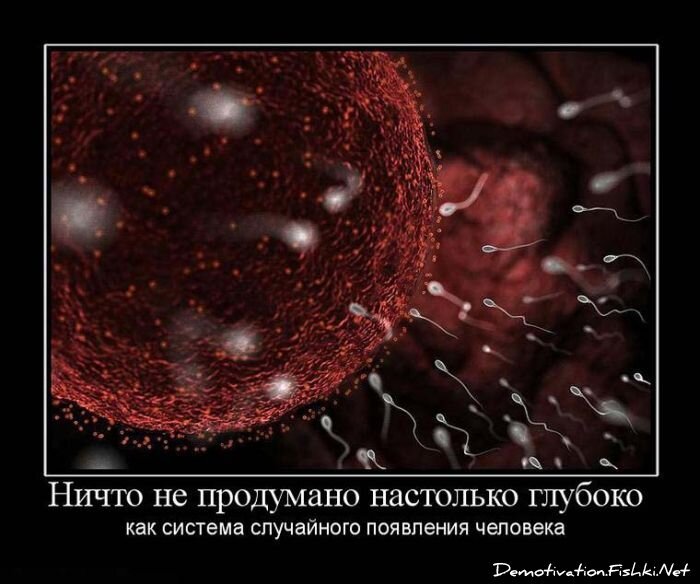 Демотиватор